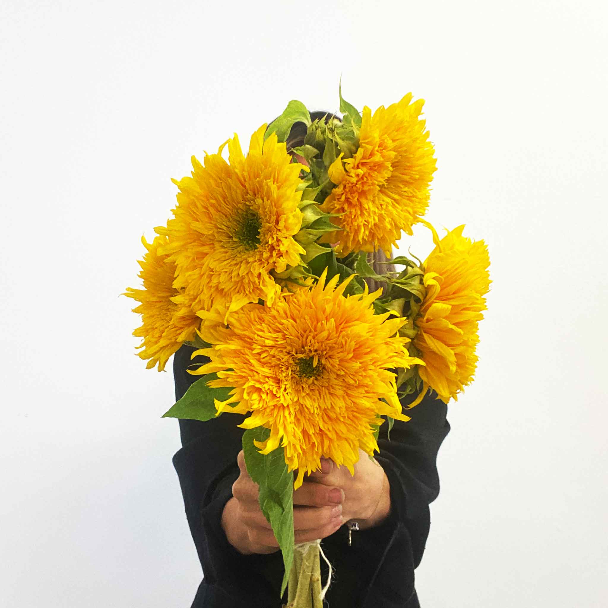 Teddy bear cheap sunflower bouquet